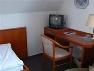 Hotel Walz 3*
